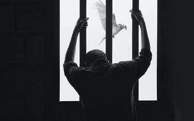 Prison Is a Place