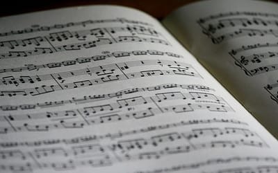 Bee 🐝 Sides: Symphony in the Park (And in the Work)