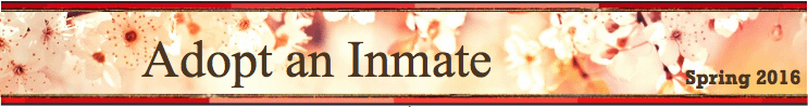 Newsletter Header Spring 2016