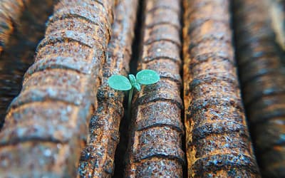 Letters From Prison: Hope is a Scarce Commodity