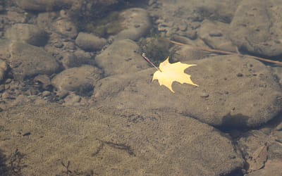 Poetry From Prison: In a Moment by Michael Fisher