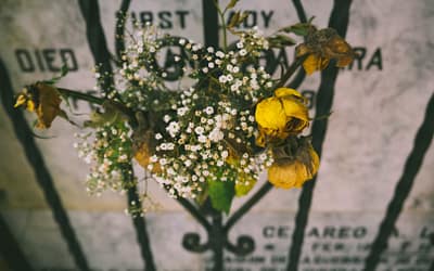 Letters From Prison: Requiem by Michael Fisher