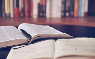 Wise Communications – New Courses