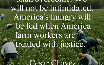 Your Sunday Read: July 13, 2025